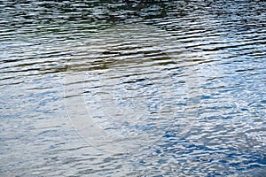 Sea water surface background. Calm blue water rippled with reflections