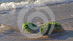 Sea water washing green algae covered rocks lit be afternoon sun on sandy beach, closeup detail