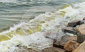 Sea wave with beach, Algal bloom