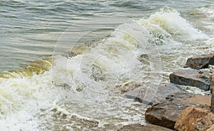 Sea wave with beach, Algal bloom