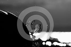 Sea wave crashing on rock. Black and white art of drops