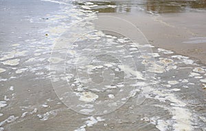 Sea wave with a dirty foam on sand beach