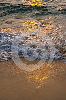 Sea wave foam on sandy beach in sundown light, close up. Tropical summery background