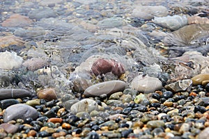 Sea wave incident on the coastal shingle