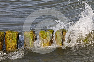 Sea wave overflow through a wooden groyne