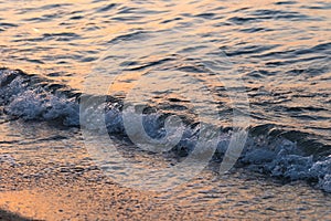 Sea wave splashes close up. Ripple sea water surface with golden sunset light.