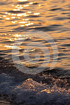 Sea wave splashes close up. Ripple sea water surface with golden sunset light.