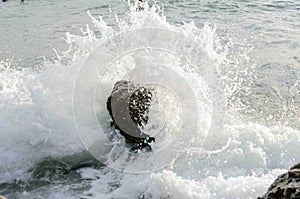 Sea waves break on a rock