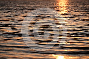 Sea waves close up at sunset, sea surface, low angle view