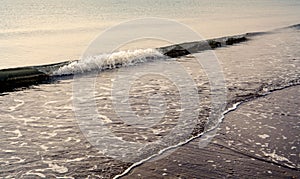 Waves background, wet sand and shells, abstract background