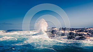 Sea waves splashing over the rocks and cape fur seal resting on the rocks at Capetown, South Africa