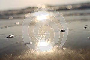 Sea waves and warm sunset light, calm and relaxing sandy beach