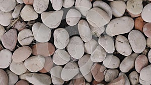 Sea white stones lie on the ground. texture in the form of smooth white stones on the beach