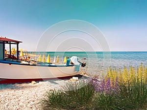 Sea wild flowers on beach white  sand  fish boat on horizon  blue sky and green sea water tropical landscape holiday