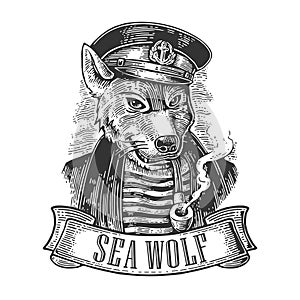 Sea wolf with pipe and ribbon.