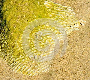 the sea work at Baru's beach in Colombia