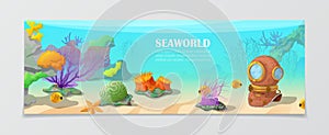 Sea world underwater life nature travel vacation a