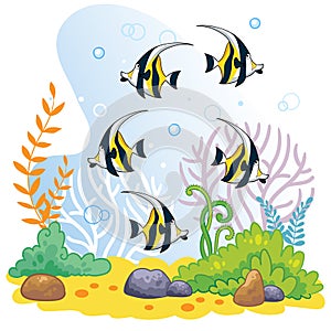 Sea world wildlife background with tropical striped fish