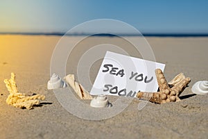 SEA YOU SOON text on paper greeting card on background of funny starfish in glasses summer vacation decor. Sandy beach