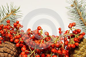 sea â€‹â€‹vane and needle leaf pine tree branch  new year concept.