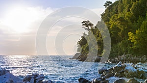 Sea â€‹â€‹view with the coast full of trees and stones, and blue sky as water