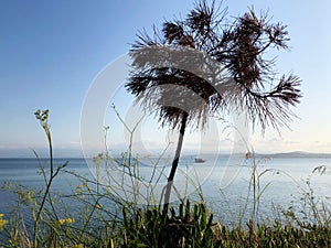 sea â€‹â€‹view  evening  coast of sinop province. There are ships in the sea.