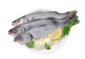Seabass