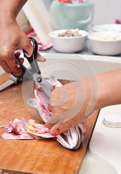 Seabass fish being cleaned