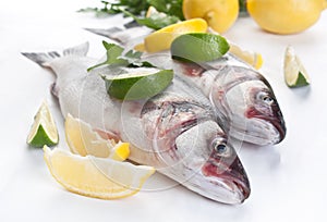 Seabass fish with hebs, limes and lemons