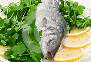 Seabass Fish On A Plate