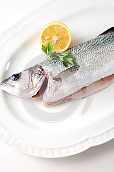 Seabass on plate,ready to cook