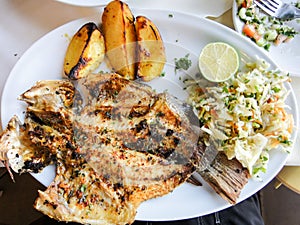 Seabass of Tiberias