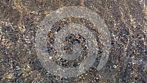 Seabed in shallow waters. Small colored pebbles and shells are visible through clear, clean sea water. Natural