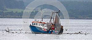 Seabirds on and around a fishing boat