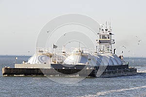 Seabirds Following Oil and Gas Transport Barge