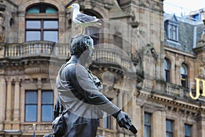 Seabirds on the head of the statue in the Victoria Street,Edinburgh