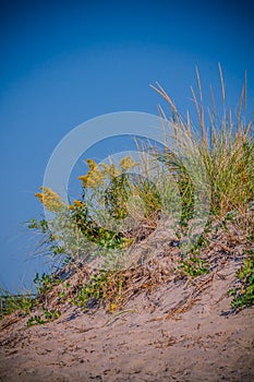 Seabrook Beach in September