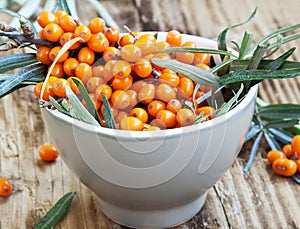 Seabuckthorn Berries