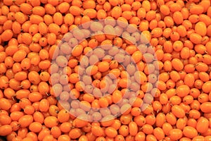 Seabuckthorn berries