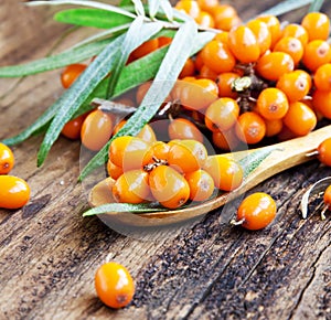 Seabuckthorn Berries