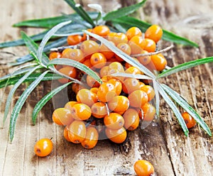 Seabuckthorn Berries