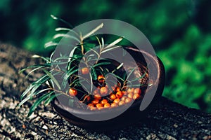 Seabuckthorn berries