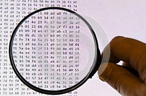 Seaching Computer Data