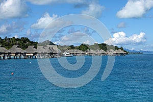 Seacoast with palm trees and small houses on water