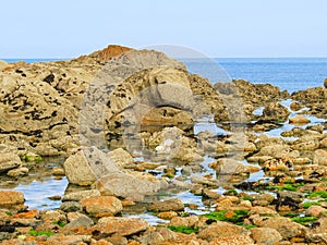 Seacoast and view of the gulf