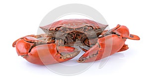 Seacrab