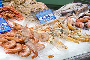 Seafood