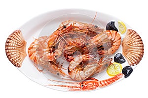 Seafood background. Closeup of fresh grilled big prawn tiger or shrimps on a colorful seafood plate isolated on a white background