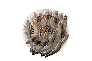 Seafood background. Closeup of raw tiger shrimps on a plate isolated on a white background. Top view