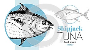 Seafood banner with hand drawn tuna fish. Sketch style marine designs template. Best for restaurant menu, seafood market designs.